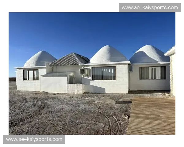 巅峰之战：海拔3600米的呼吸博弈，玻利维亚与智利的安第斯恩怨录